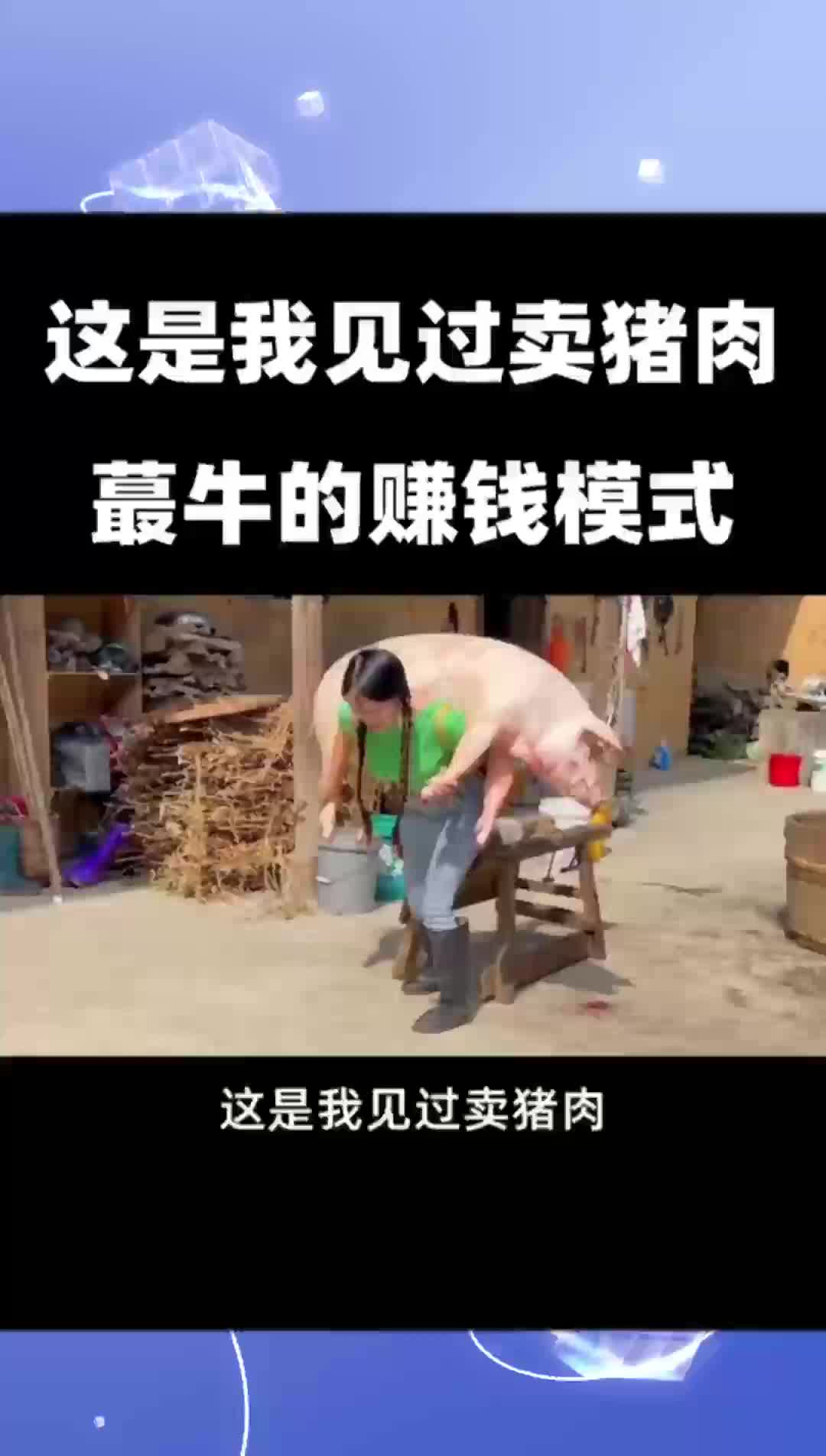 卖猪肉如何赚钱哔哩哔哩bilibili