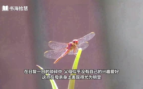 好书解读:《极简父母法则》副标题:教出快乐、自信、独立的孩子.作 者【英】理查德ⷦ𓰦™’(Richard Templar) 【书海拾慧】哔哩哔哩bilibili