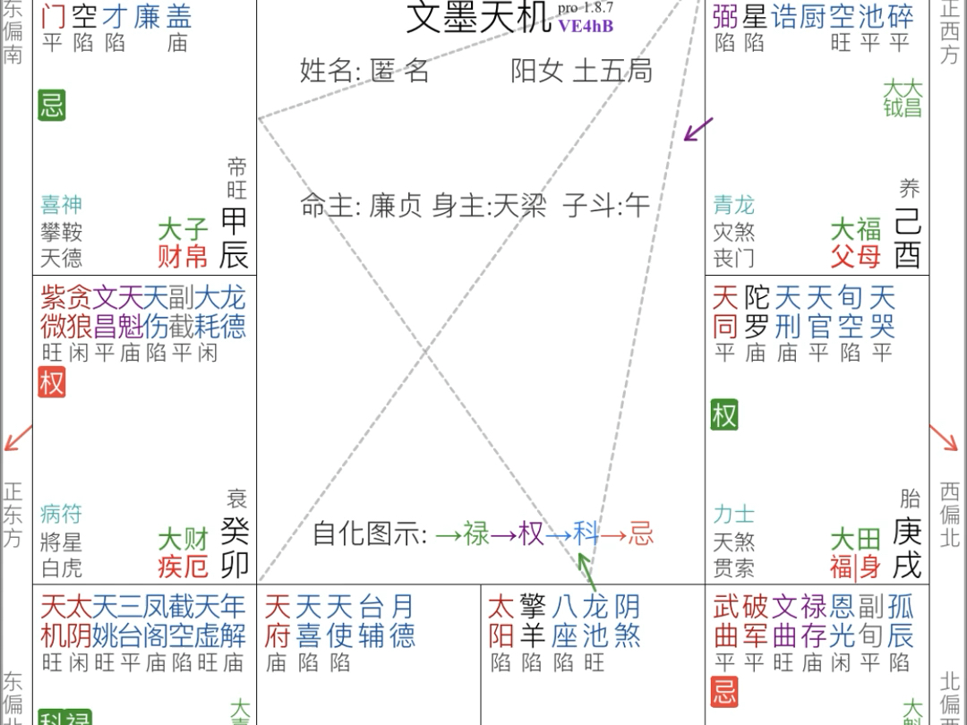 夜场女哔哩哔哩bilibili