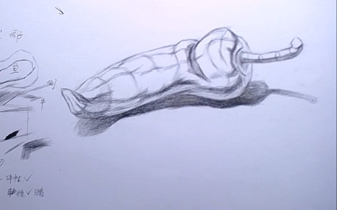 素描教学素描静物教学辣椒的讲解