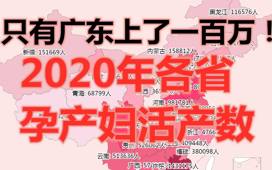 2020年各省孕产妇活产数数据可视化哔哩哔哩bilibili