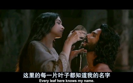 帕德玛瓦蒂王后