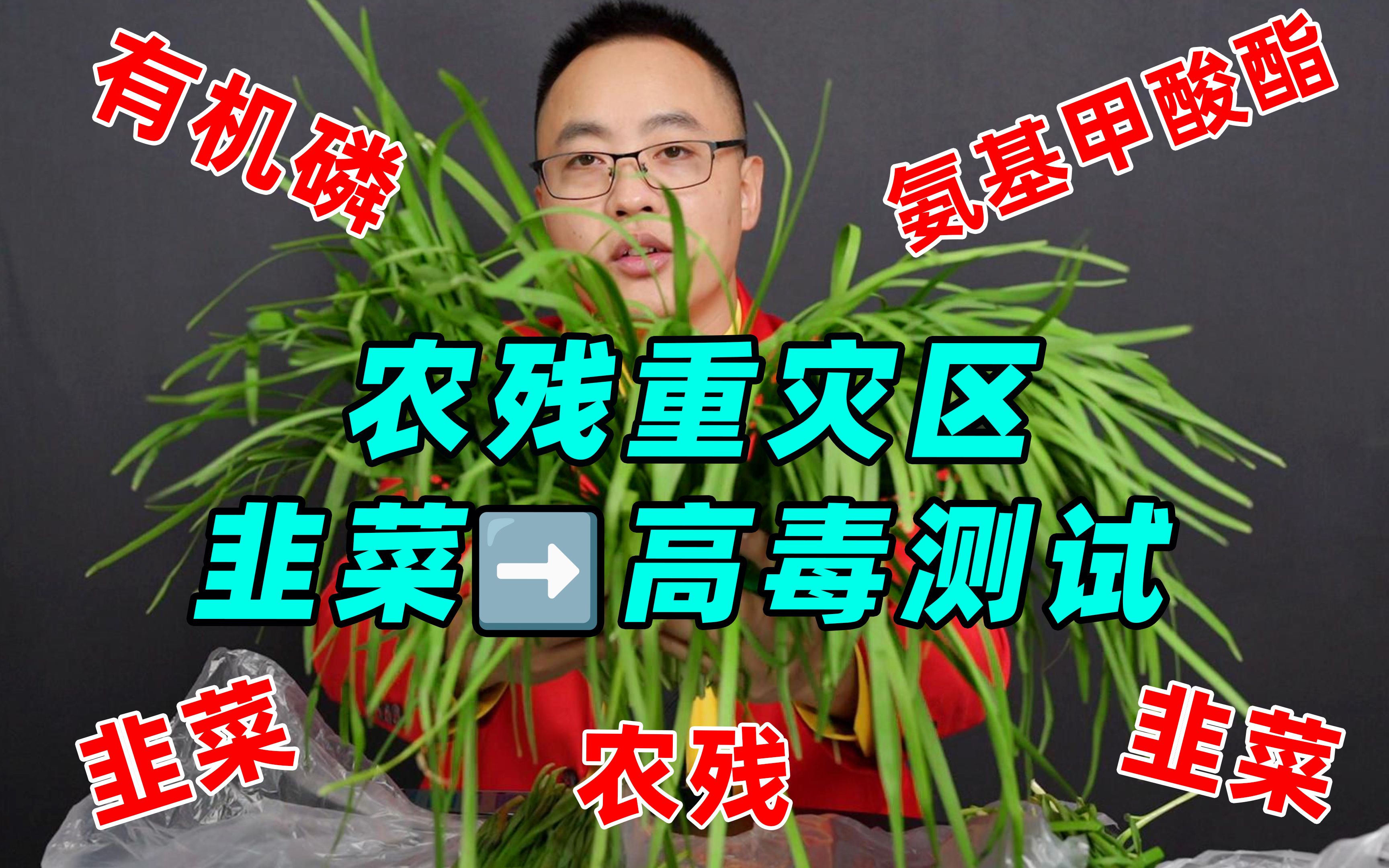 农药残留重灾区之韭菜,高毒农药残留快速检测,采样自桐乡随机菜场,主要检测有机磷和氨基甲酸酯类高毒农药的残留!哔哩哔哩bilibili