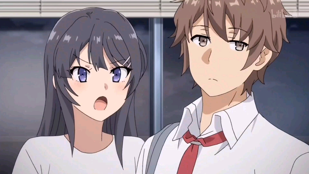 梓川咲太与樱岛麻衣的日常