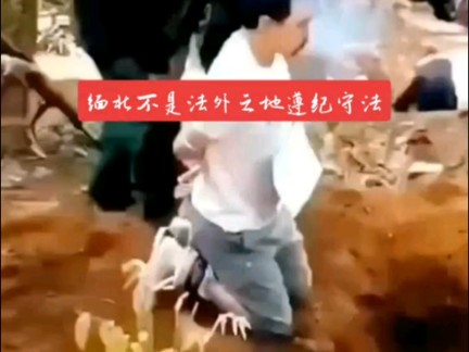 啪啪啪人生到此谢幕#缅甸#佤邦