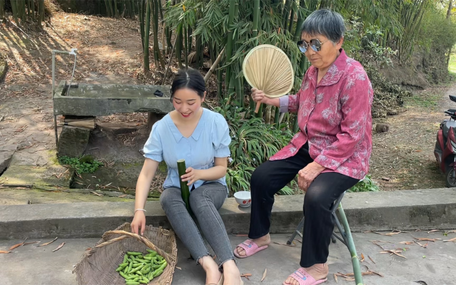 又到了吃胡豆的季节,在竹林里砍根竹子,给外婆做美味的筒筒胡豆哔哩哔哩bilibili