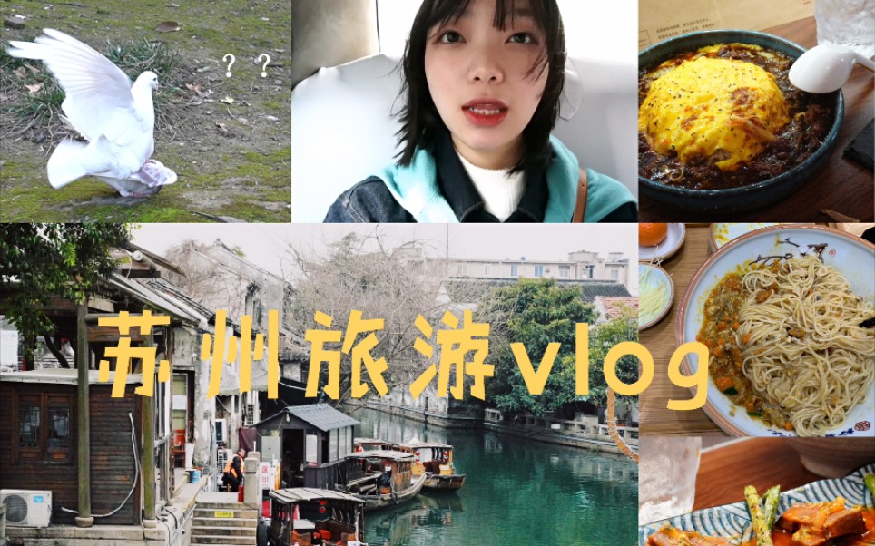 苏州三日游vlog|苏州美食|苏州旅游攻略|苏州名宿|撸猫馆|平江路|裕兴记面馆|苏州诚品书店|苏州旅游攻略|无缘苏州博物馆与拙政园哔哩哔哩bilibili