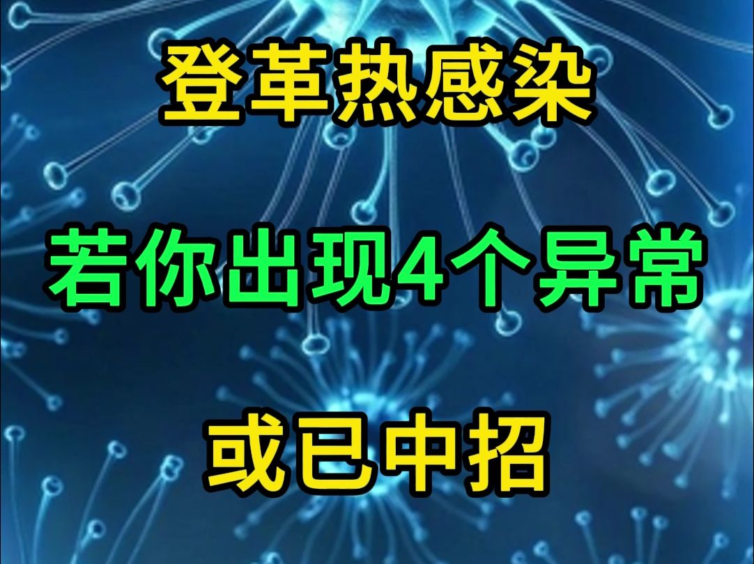 全球爆发,登革热感染,若你出现4个异常,或已中招哔哩哔哩bilibili