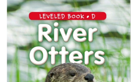 River Otters哔哩哔哩bilibili