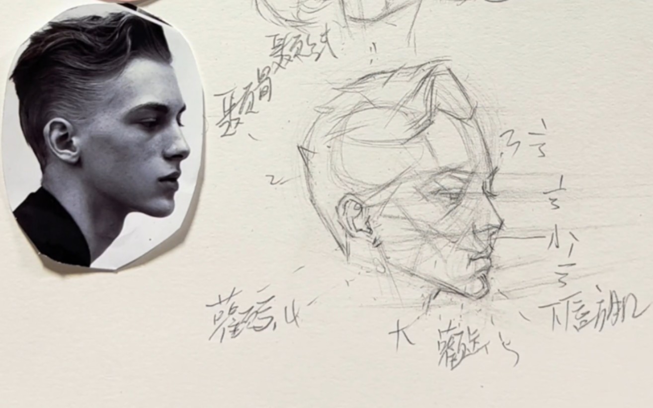 林木迷你素描头像课程_打型训练课_解决你的起形困难症