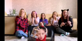 BLACKPINK  'Pink Venom' mv   reaction