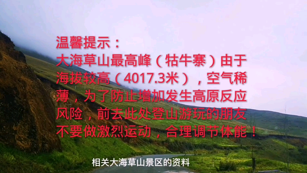 云南省曲靖市会泽大海草山,被誉为“东方新西兰”,草山风景独特哔哩哔哩bilibili