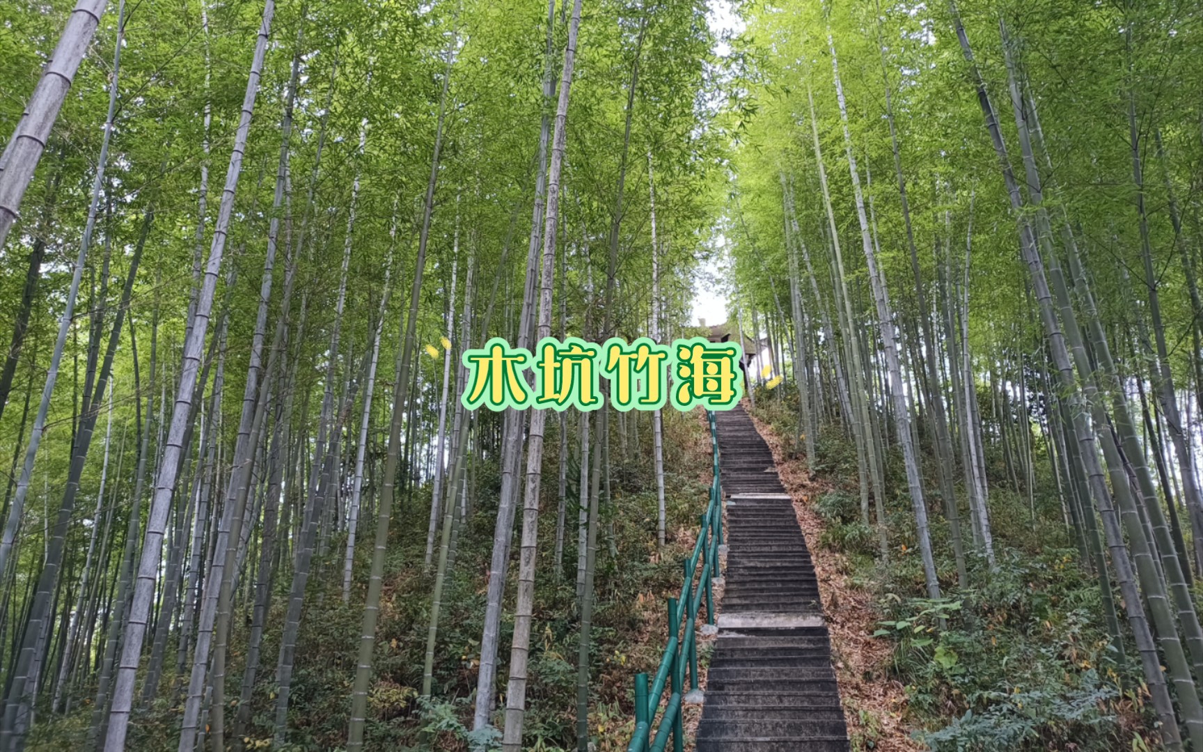 黄山黟县木坑竹海,清风中感受竹的志趣哔哩哔哩bilibili