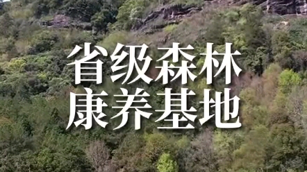 福建省级森林康养基地武夷山庄哔哩哔哩bilibili