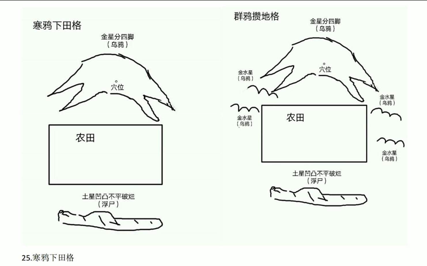 [图]杨公风水喝形取象72图解（十五）：寒鸦下田、群鸦攒地 林来锦