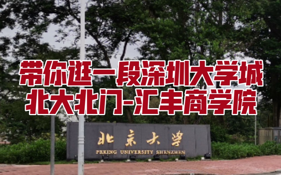 带你逛一段深圳大学城北大北门到汇丰商学院 | 北京大学深圳研究生院 | 清华深圳 | 哈工深哔哩哔哩bilibili