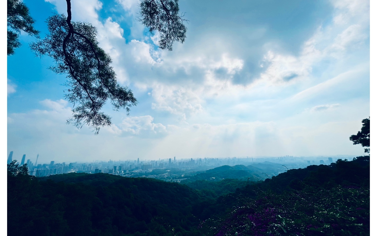 白云山风景区:登高望远的悠闲之旅