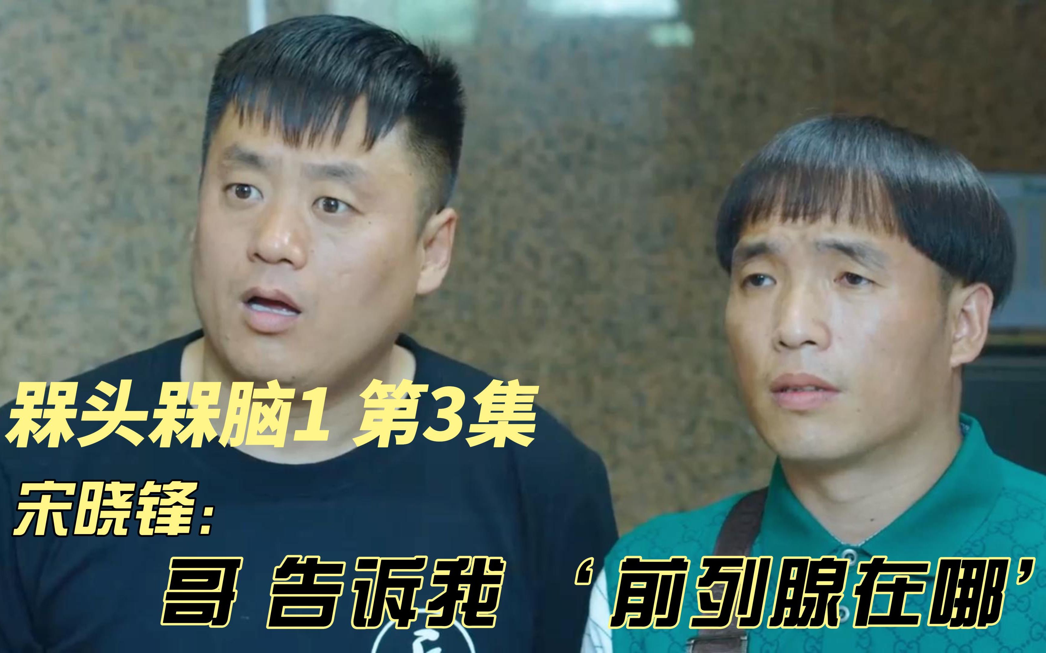 槑头槑脑1宋晓锋哥你告诉我前列腺在哪