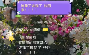 Download Video: 【7k】找不到kona的倩倩自闭了，ko你就睡吧｜勇敢koko说想姐姐了