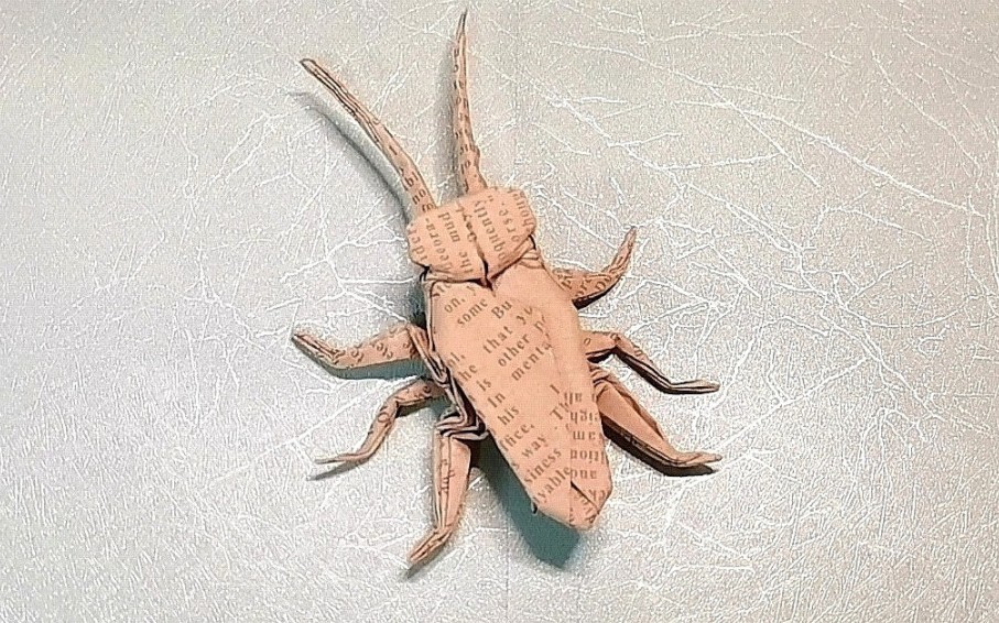 蟑螂折纸图片