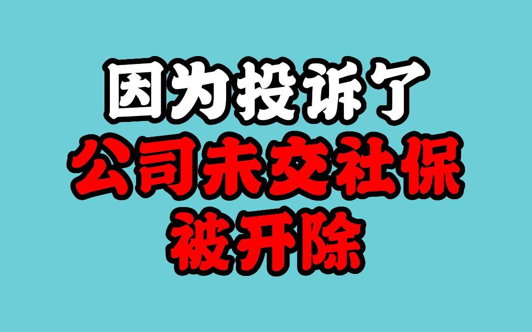 因为投诉了公司未缴纳社保被开除哔哩哔哩bilibili