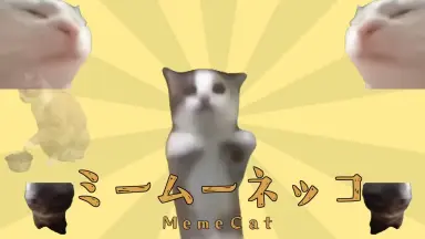 迷い猫オーバーラン！/-哔哩哔哩_Bilibili