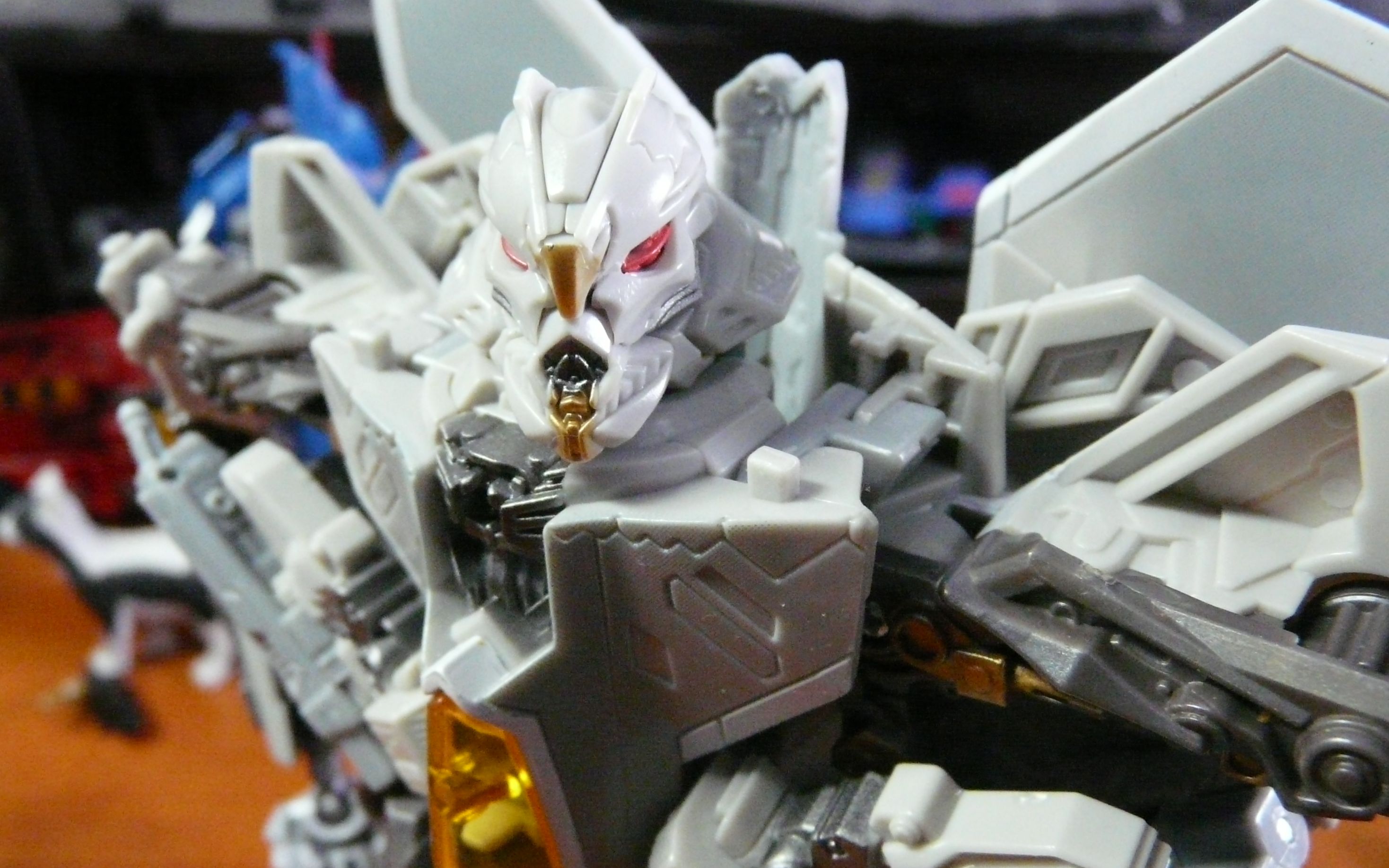 活动  系列佳作---ss06v级红蜘蛛