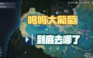 Download Video: [原神]亲手养大的膨膨兽——呜呜大葡萄放生后的位置