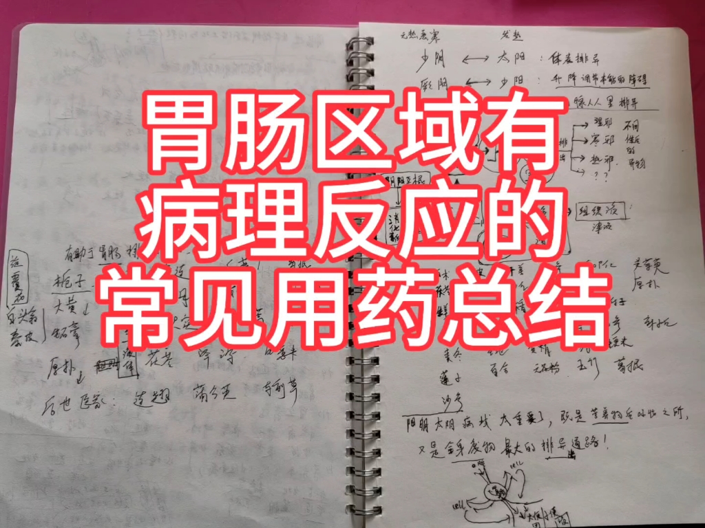 胃肠区域有病理反应的常见用药总结,配合心法好懂好用!哔哩哔哩bilibili