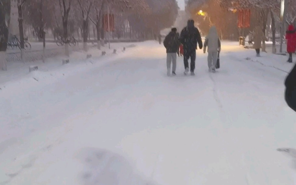 [图]下雪啦，下雪了