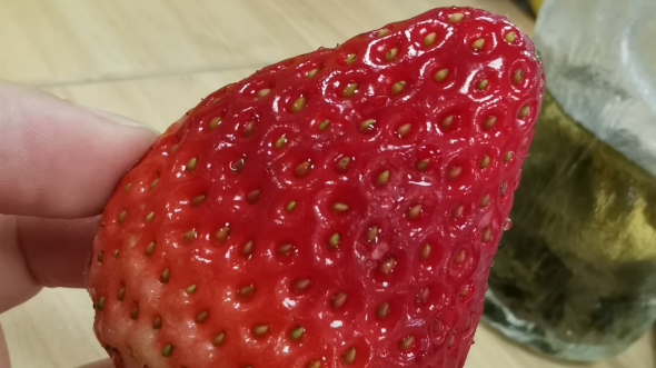 冬天的第一个草莓