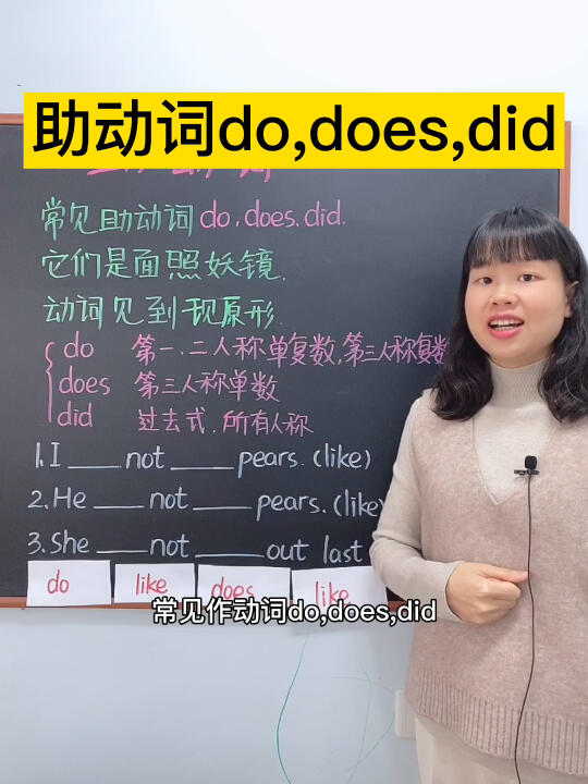 【45】助动词do,does,did哔哩哔哩bilibili