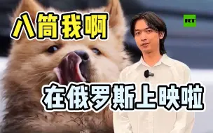 Download Video: 八筒来啦！俄罗斯人如何评价忠犬八公？