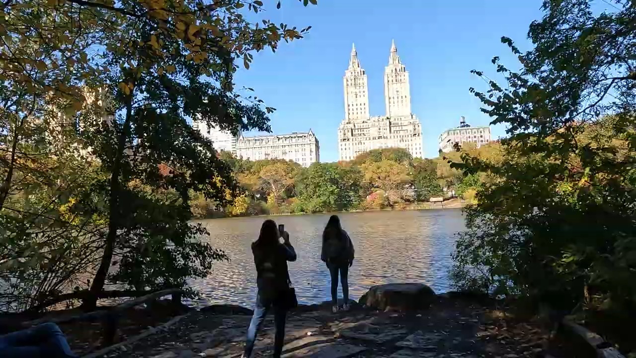 美国纽约中央公园秋季漫步Central Park fall foliage 2022. Autumn in New York哔哩哔哩bilibili