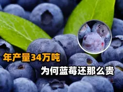 Download Video: 我国大量种植蓝莓，年产量已达34万吨！为啥蓝莓价格还是那么高？