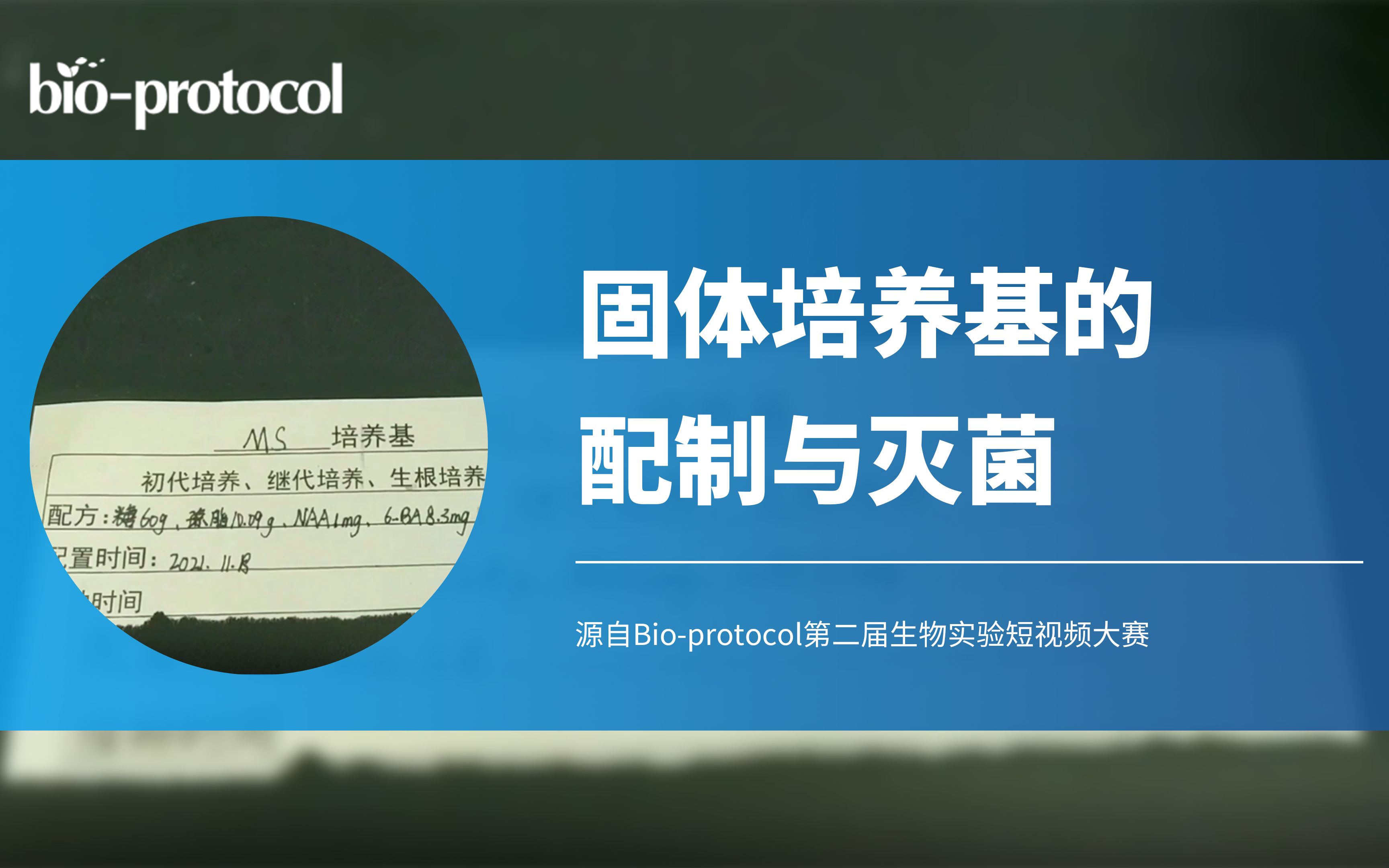 【Bioprotocol】固体培养基的配制与灭菌哔哩哔哩bilibili