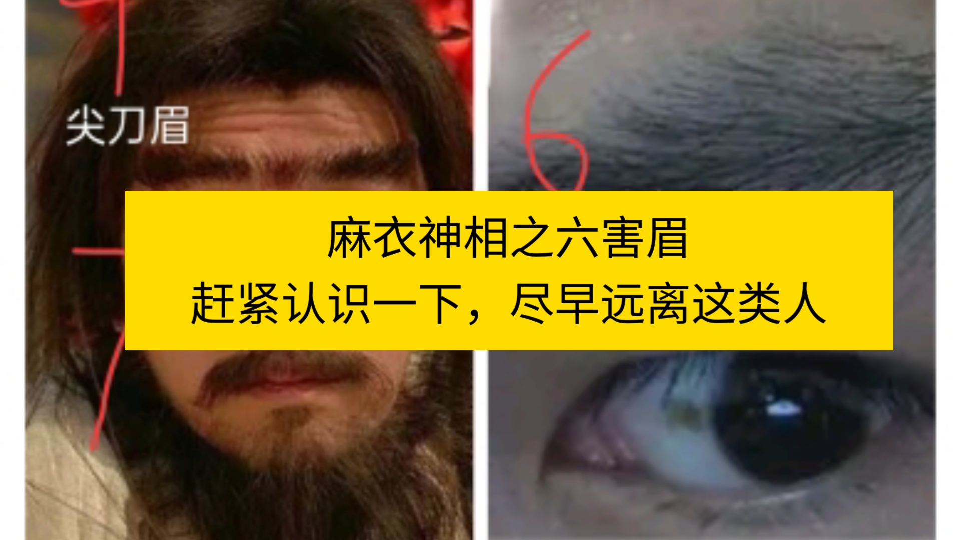 麻衣神相之六害眉,赶紧认识一下,尽早远离这几类人