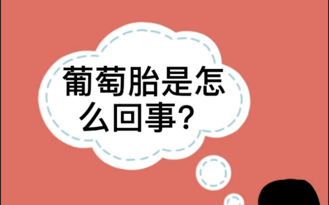 葡萄胎到底是怎么回事儿?遗传专家为您解答~哔哩哔哩bilibili