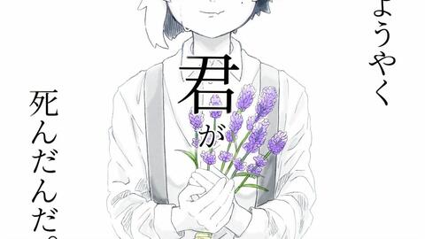 豺狼 花見る人 哔哩哔哩 Bilibili