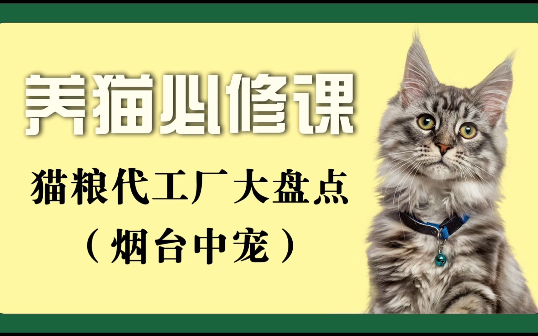 养猫必修课——猫粮代工厂大盘点——烟台中宠#猫粮 #代工厂 #知识分享哔哩哔哩bilibili