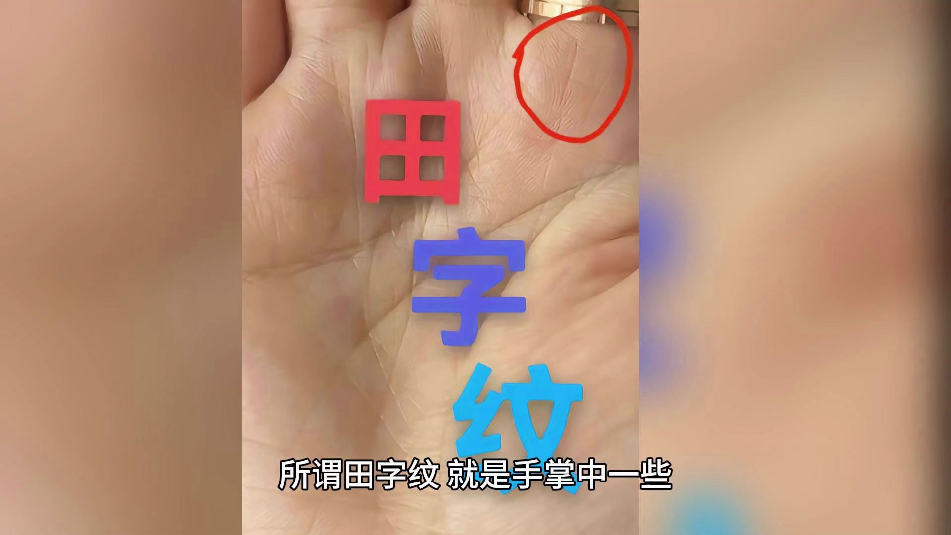 识人有术,罕见田字纹哔哩哔哩bilibili