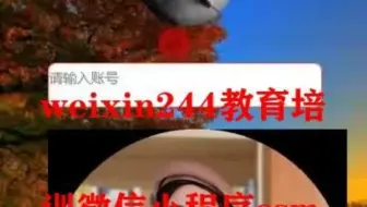 教育培训微信小程序ssm