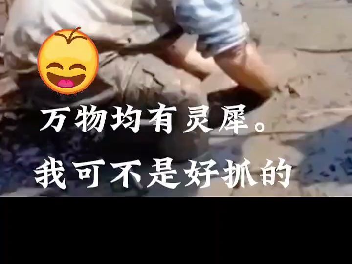 萌娃搞笑捉鱼,萌娃搞笑日常,人类幼崽迷惑行为大赏 !
