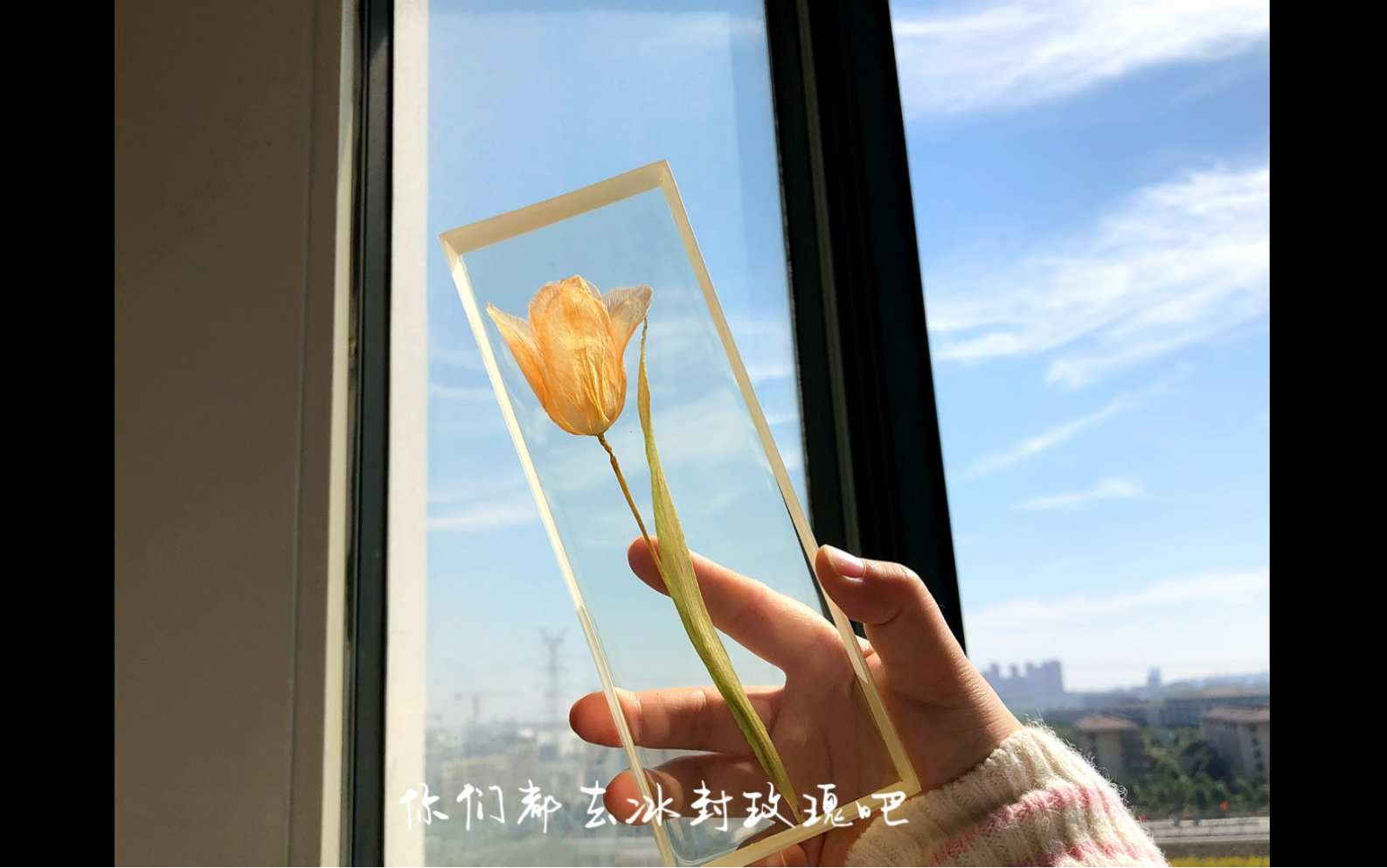 最近冰封玫瑰花很火?哔哩哔哩bilibili