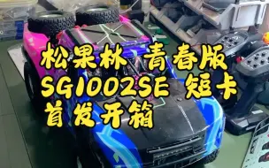 Download Video: 全网首发开箱-松果林SG1002SE青春版