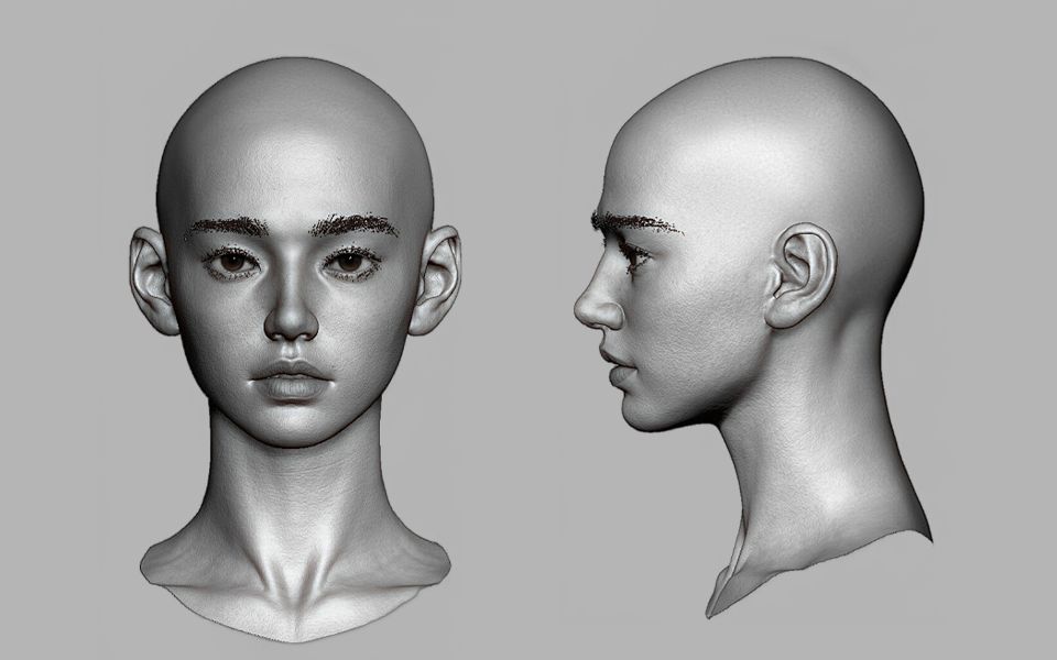 zbrush人头三视图图片