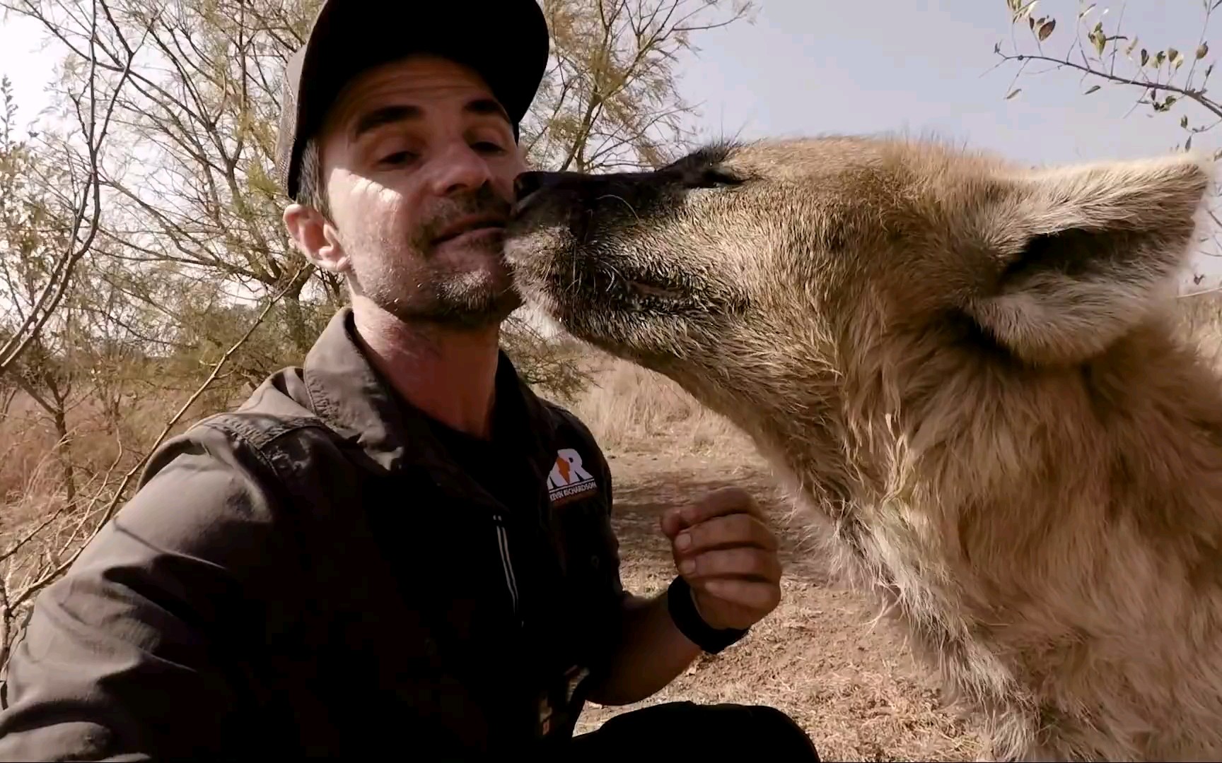 狮语者凯文理查森howtougharehyenas生肉