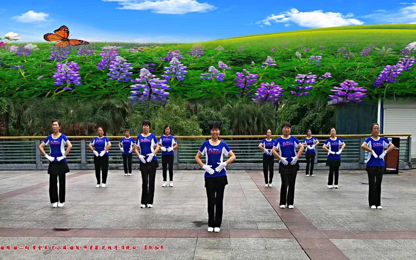 学跳云朵王第十套开场舞 骄阳舞韵广场姐妹健身锻炼版