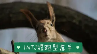 Video herunterladen: intj——“短跑型选手”