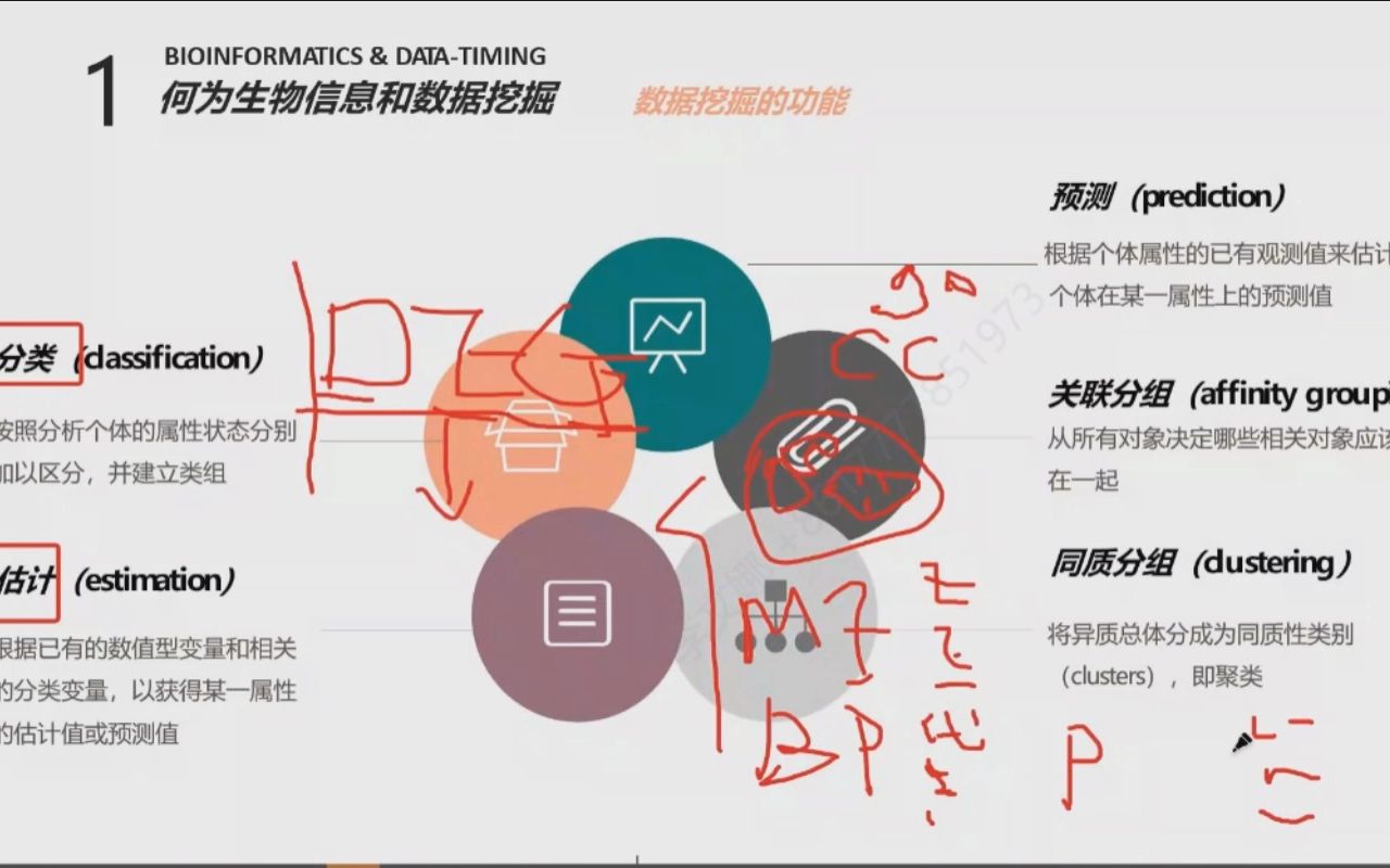 生物信息学何为生物信息和数据挖掘哔哩哔哩bilibili